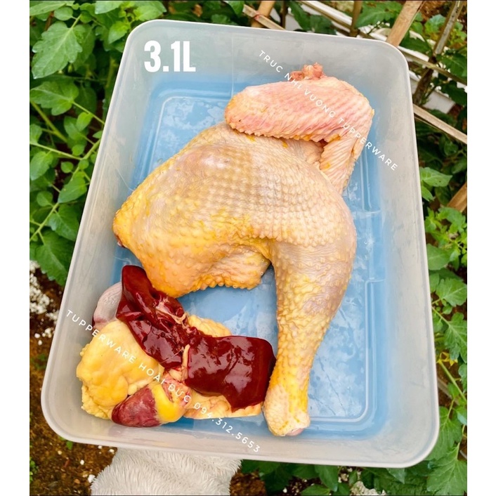 Hộp Đông 5.7L , 3.1L