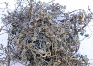 1kg cỏ mực