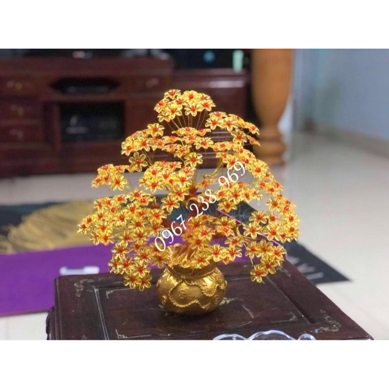 Cây Kim tiền cỡ tofreeshipCây tài lộc may mắn,handmade