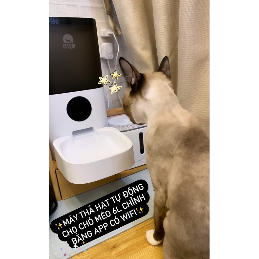 Máy cho ăn tự động chó mèo Tuya smart 6L dùng app, máy nhả hạt, thả hạt thức ăn thú cưng Con Mèo Xiêm