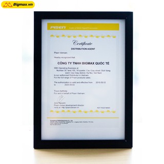 Tai nghe Pisen R100/R101