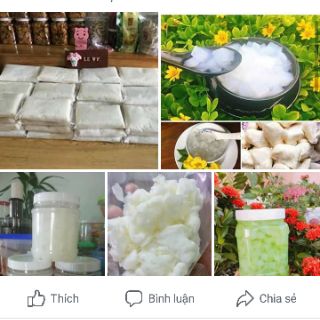 [FREESHIP 99K TOÀN QUỐC] 4kg thạch dừa thô Minh Tâm