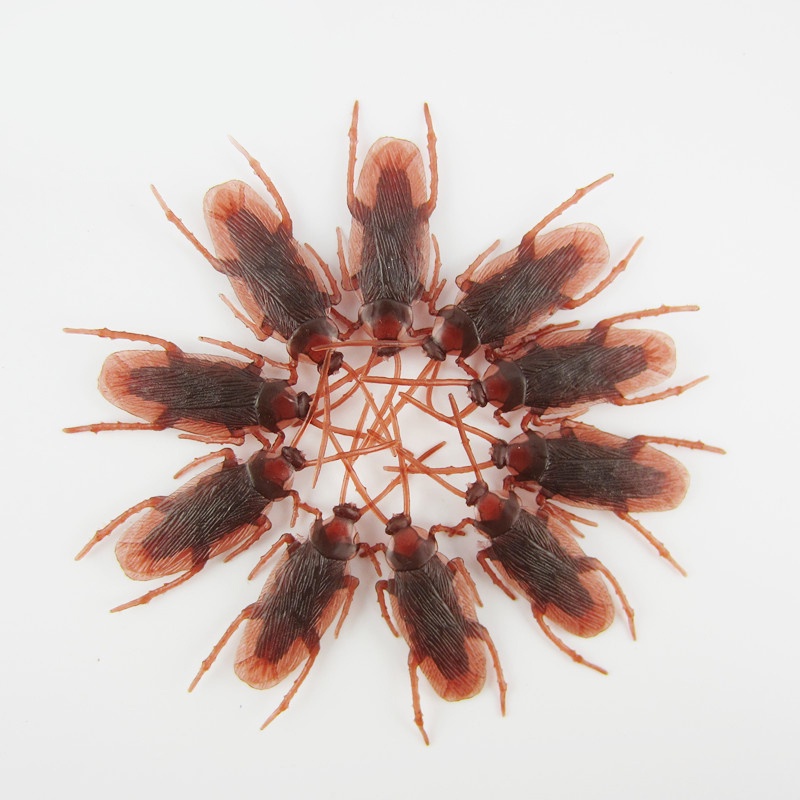 Mô hình con gián giả bằng cao su dùng trang trí W8F4 N1Q0