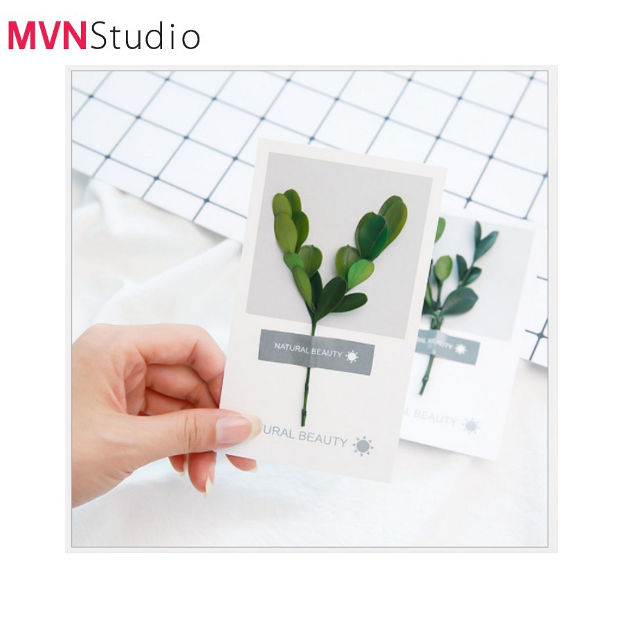 MVN Studio - 7 mẫu thiệp cây, hoa, lá khô phụ kiện trang trí đạo cụ chụp ảnh