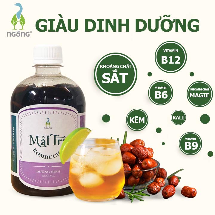 Mật Trà Kombucha Dưỡng Sinh 500ml