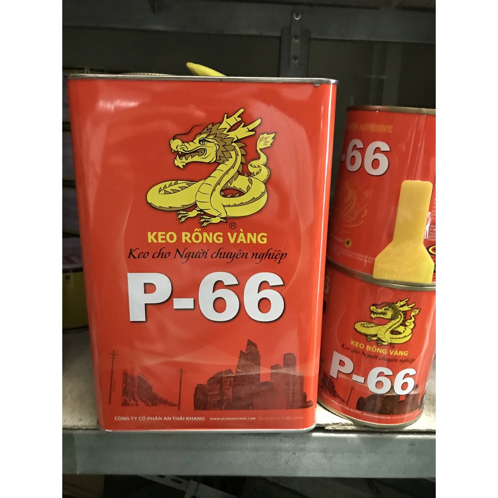 KEO RỒNG VÀNG P66 LOẠI 600G-3.3KG