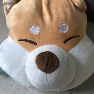 Gấu bông chó shiba của Phùng Hiền