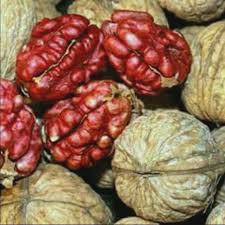 Quả óc chó đỏ nguyên vỏ 500gr - Nhập khẩu Mỹ siêu dinh dưỡng cho bà bầu và trẻ nhỏ