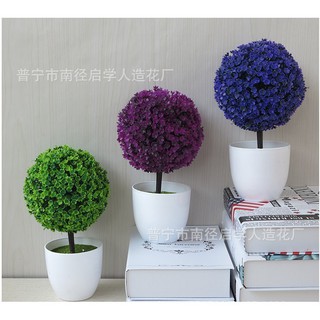 Combo 3 chậu cẩm tú cầu giả để bàn trang trí