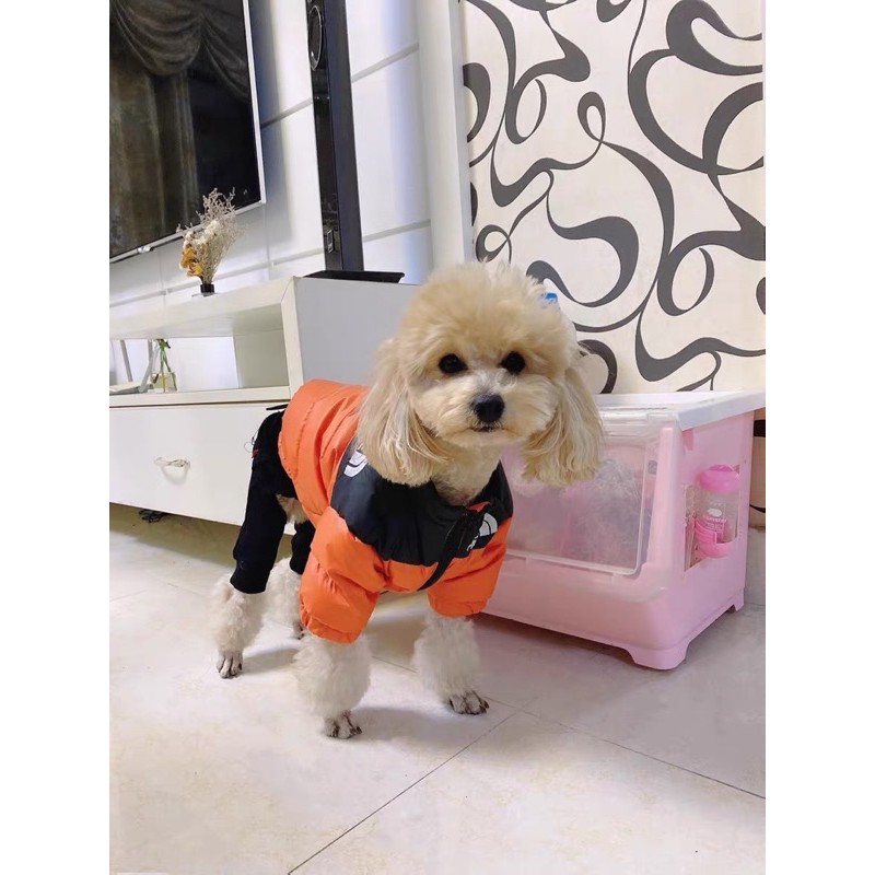 ÁO PHAO THE DOG FACE CHO CHÓ  - CÓ HÌNH THẬT SỐP CHỤP