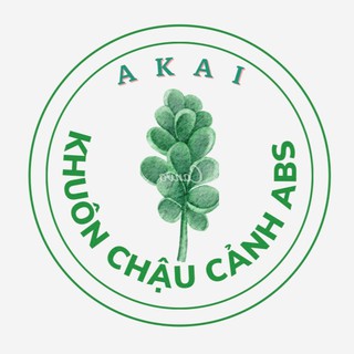 Khuôn chậu cảnh Cao Bằng