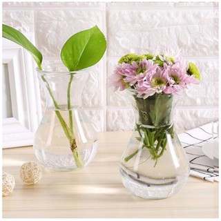 Set 02 lọ thủy tinh ùng cắm hoa, trồng cây theo phong thuỷ trang trí trên bàn làm việc cực đẹp (Loại 14cm)