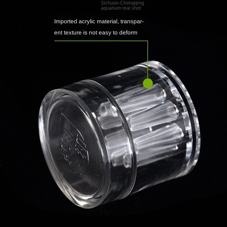 Cây Thủy Sinh 3 Lỗ 2 Lỗ 8 Lỗ Bắt Côn Trùng Bằng acrylic