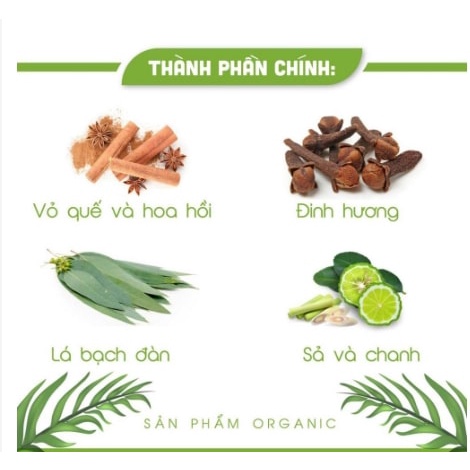 Nước Lau Bàn Thờ Quế Cao Cấp AnAn Siêu Thơm khử mùi diệt khuẩn, tẩy rửa bụi trần, sạch mọi bề mặt, mang tài lộc - LivEco