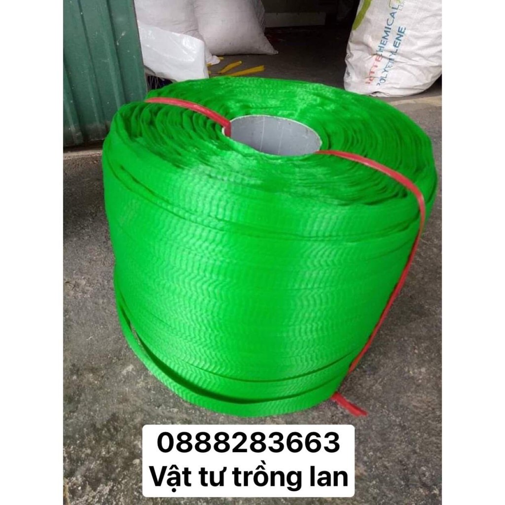 [ SIÊU RẺ ] 1Kg Túi Lưới Bọc Hoa Quả, Bọc Trái Cây,Bưởi, Hành, Tỏi,Đồ Chơi Các Loại, Bọc Chậu Lan Các Loại....