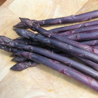 200 hạt giống Măng Tây Tím ( Nhật )