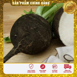 Hạt giống Củ cải Đen ( Đức 10 Hạt )
