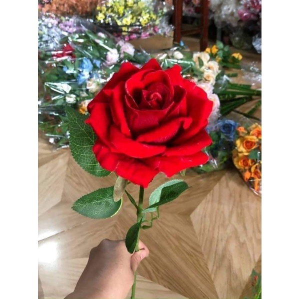 Hoa hồng nhung 1 bông giả cao cấp giống thật (70cm)