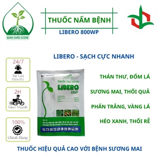Libero 800wp thuốc đặc trị nấm bệnh