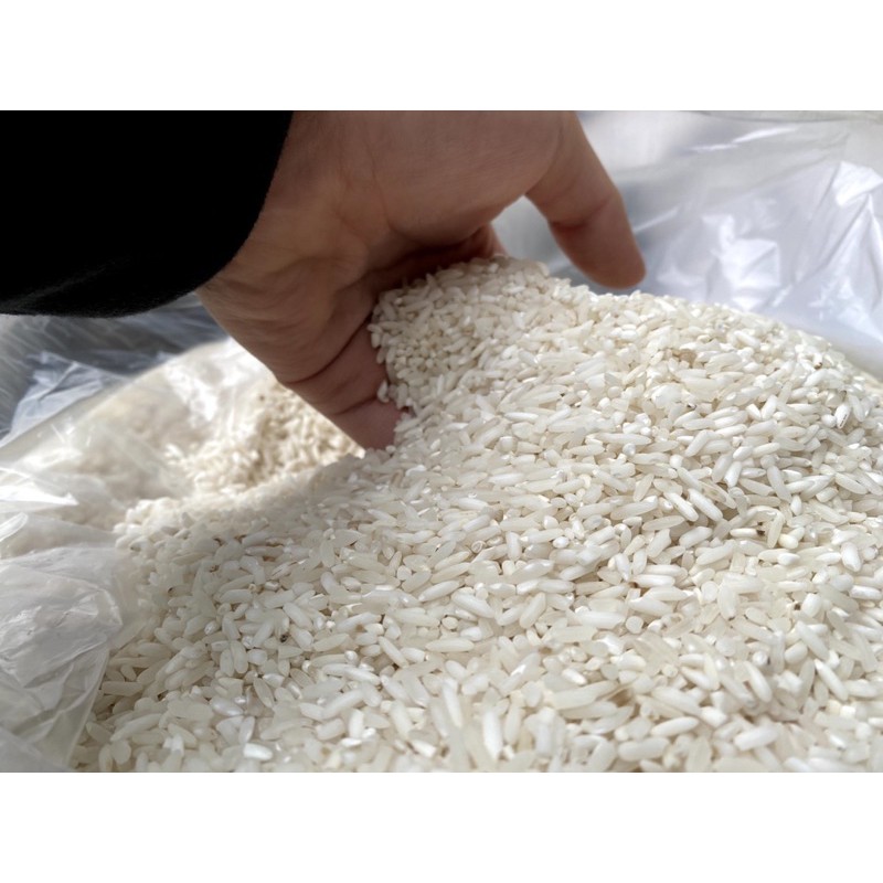 🍚 5Kg gạo Séng cù Điện Biên