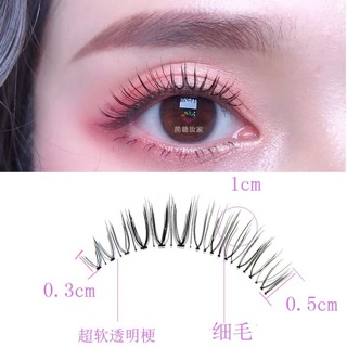 Mi giả lông chồn 3D cao cấp