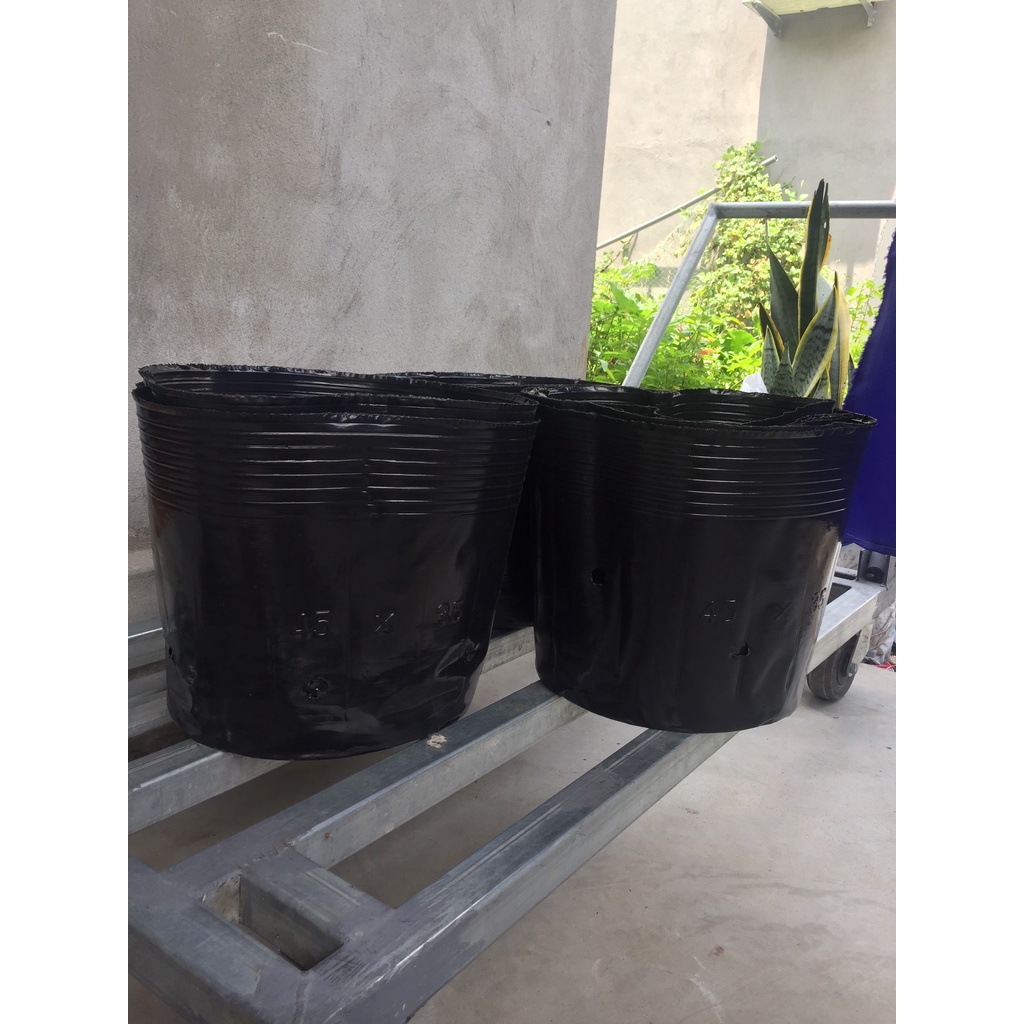 BẦU ƯƠM CÂY 45*35 ( DỊCH TRUYỀN CHO CÂY, KÍCH RỄ , MẦM CÂY XANH LÁ, LƯỚI CHE NẮNG...)