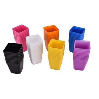 Chậu nhựa đủ màu 5x5