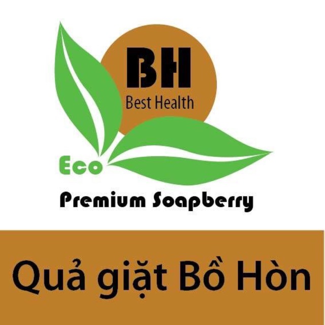 Quả giặt Bồ Hòn - EcoHouse