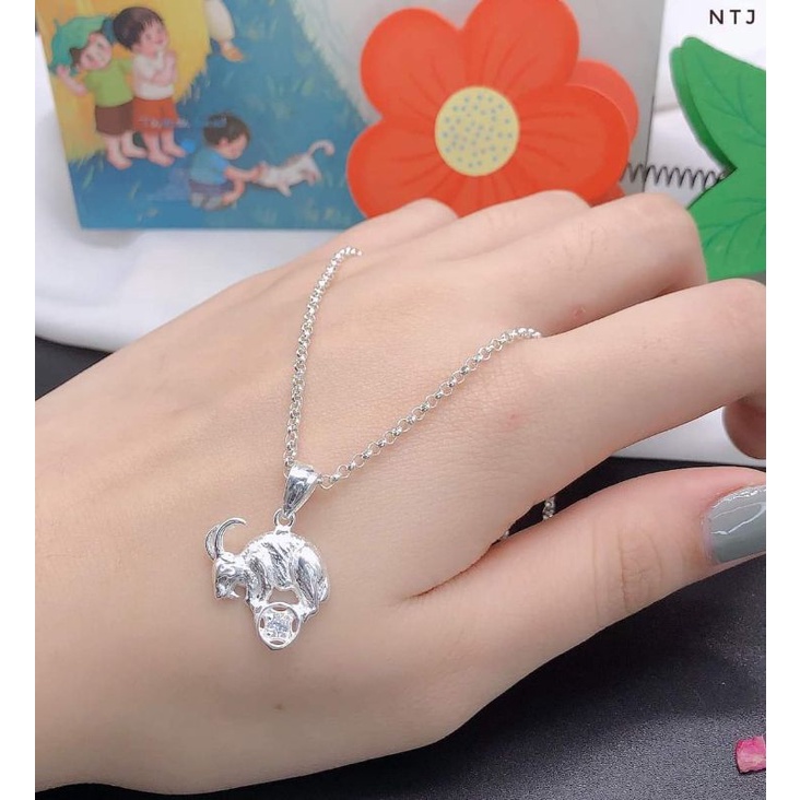 Mặt con giáp bạc ta trẻ em