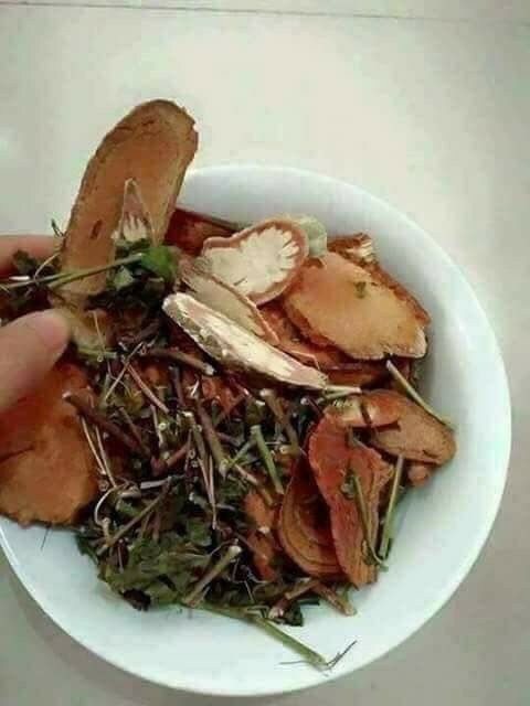 Cỏ máu tăng cân cho người gầy an toàn hiệu quả gói 1kg