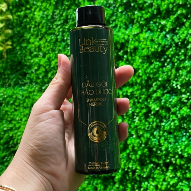 Dầu gội Thảo dược Trị rụng tóc Link Beauty