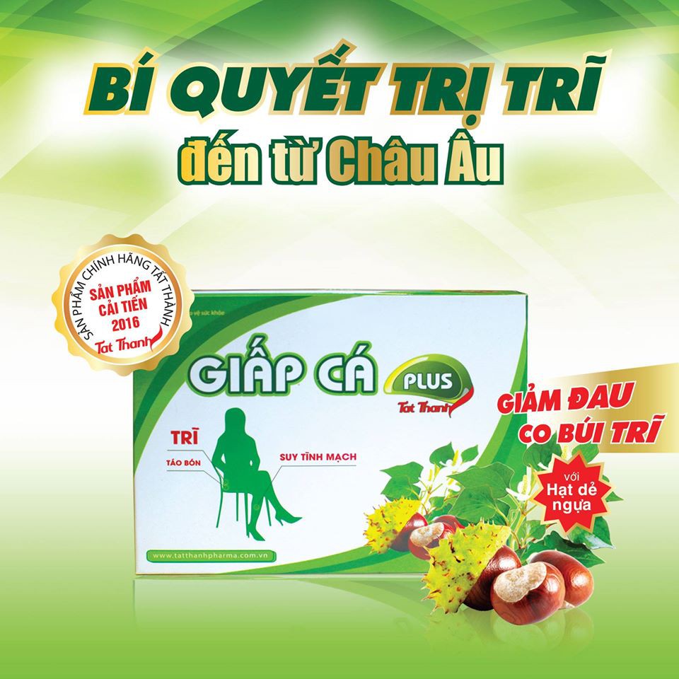 Giấp cá Plus Tất Thành - Hỗ trợ điều trị trĩ, táo bón, suy nhược tĩnh mạch