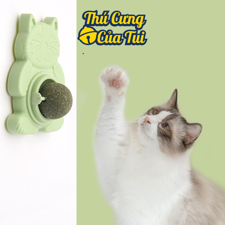 Viên cỏ CATNIP gắn tường hỗ trợ giảm stress giúp mèo tiêu búi lông hình gấu mèo - Thú cưng của tui