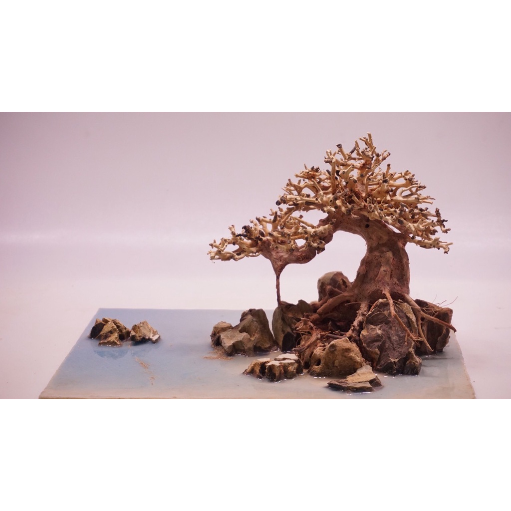 Hòn non bộ mini, Lũa Bonsai, Lũa thủy sinh dùng trang trí hồ cá cảnh, hồ thủy sinh, văn phòng, nhà cửa- NHÀ XANH