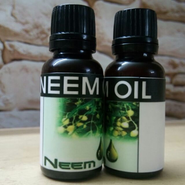 Dầu neem