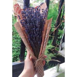 Bó hoa khô Lavender ( Như ảnh)