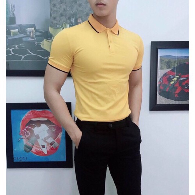 Áo phông nam cổ kẻ viền sành điệu - Áo nam BITULA | BigBuy360 - bigbuy360.vn