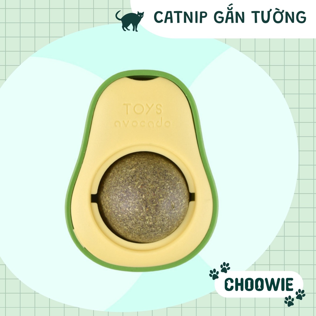 Cỏ mèo dán tường Catnip mèo đồ chơi cho mèo giúp mèo xả stress Choowie Pet Shop