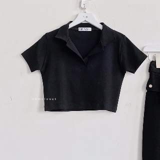 Áo Thun CROPTOP CỔ ĐỨC