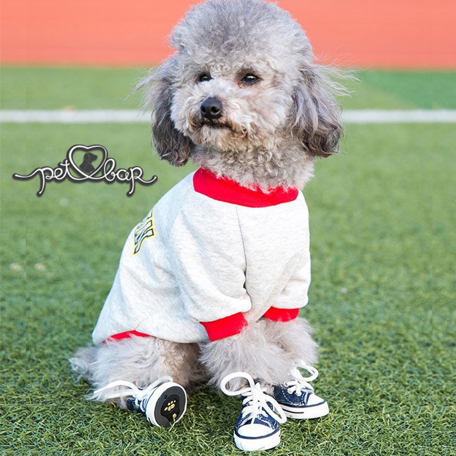 Giày cho thú cưng đế PVC chống trơn trượt kiểu dáng thể thao cá tính