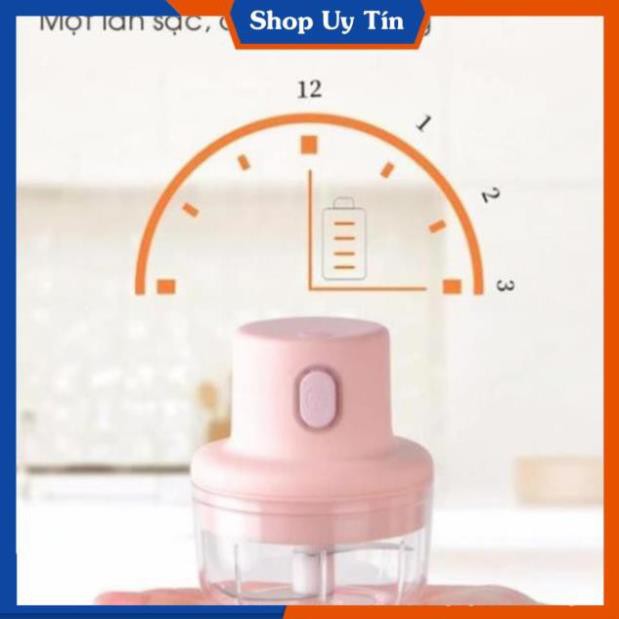 Máy xay mini cầm tay đa năng sạc pin cao cấp xay tỏi ớt, hành, rau củ quả dung tích 250ml
