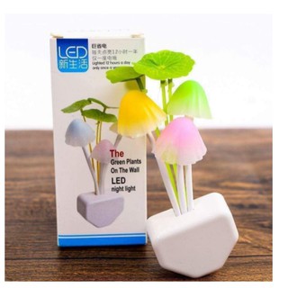ĐÈN NGỦ CẢM ỨNG HÌNH NẤM Avatar CỰC XINH