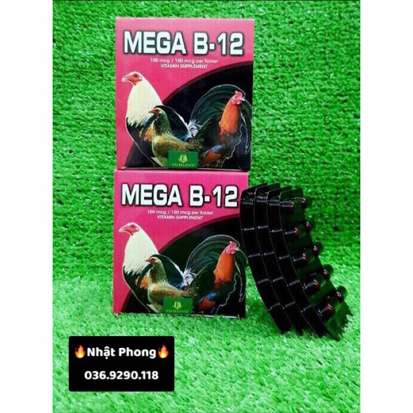MEGA B12 -