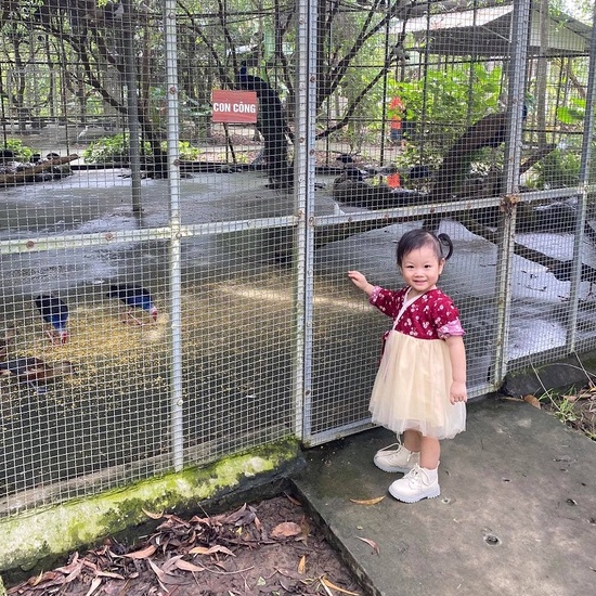 Set hanbok hàn quốc hoa nhí nhung phối voan kèm kẹp tóc bé gái 1 2 3 4 5 6 tuổi MINTSCLOSET Mint's Closet - GS1039