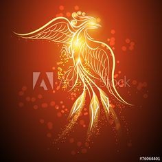 Phoenix_Store
