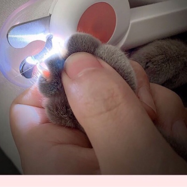 Kìm LEDY cắt móng chó mèo | Đèn chiếu tuỷ, nhìn rõ ràng, ,cắt an toàn - 4pets official