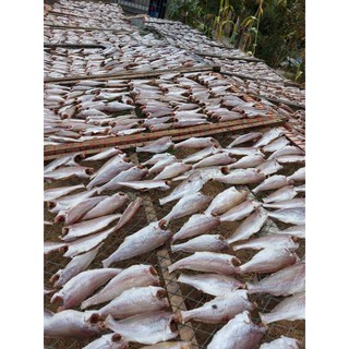 Khô lù đù size nhỏ