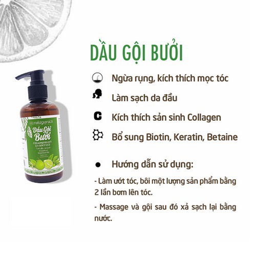 Dầu gội bưởi Milaganics  500ml / chai