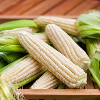 Hạt giống Ngô Nếp  - 100g