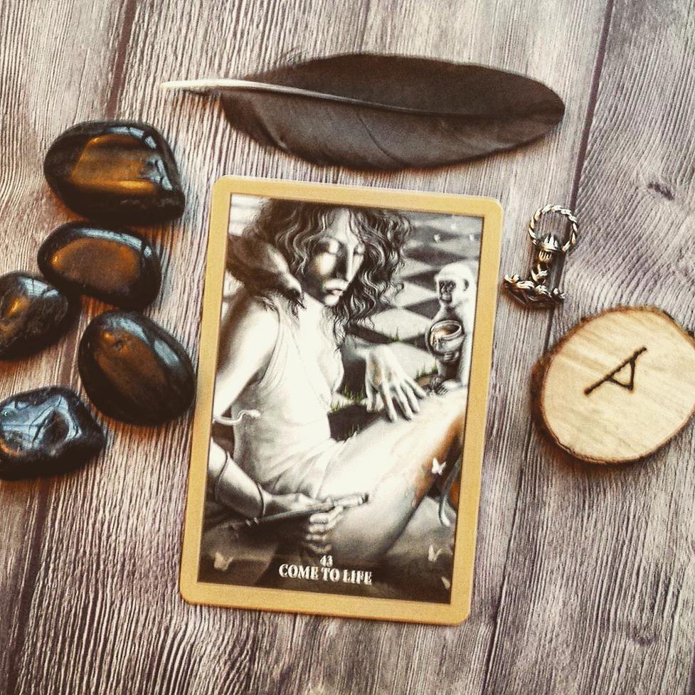 Bộ Bài Sacred Rebels Oracle (Mystic House Tarot Shop) - Bài Gốc Authentic Chính Hãng 100%
